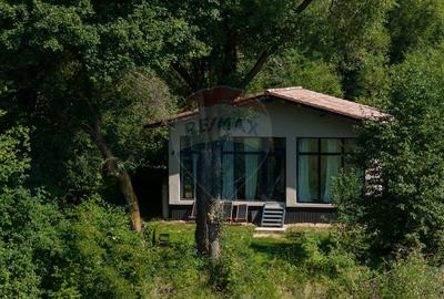 Casa de vacanta superba -Cheile Rasnoavei- liniste, natura si confort! - 14