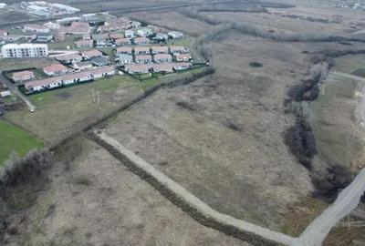Teren de 5000 mp, în Albina - 1