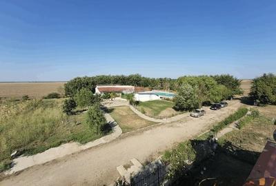 Teren Construcții intravilan de 45602 mp, în Frumușani - 3