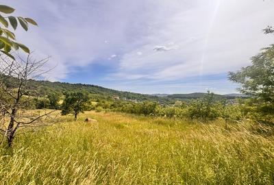 Teren Construcții extravilan de 2200 mp, în Nord - 3