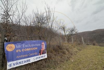 Teren Construcții intravilan de 814 mp, în Ștefănești