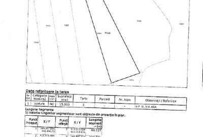 Teren agricol extravilan de 50000 mp, în Rucăr - 1