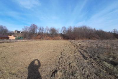 Teren de 5000 mp, în Crăcăoani - 2