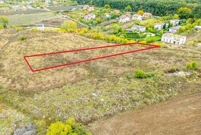 Teren 3000 mp in Snagov zona in dezvoltare, aproape de padure - 1