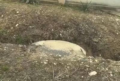 Teren de 2055 mp, în Brădești - 9