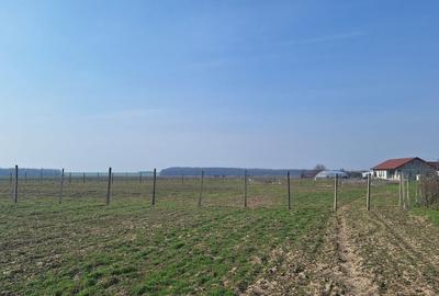 Teren în Bălăceanca