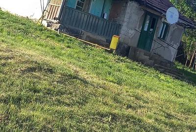 Casă cu 2 camere cu Teren 132 Mp în Ceanu Mare - 7