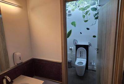 Piata 1 Mai spatiu demisol 475 mp - 30