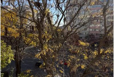 Rent 2 Camere zona Ștefan cel Mare - 19