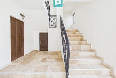 Business complet funcțional, zona Aradul Nou - 6