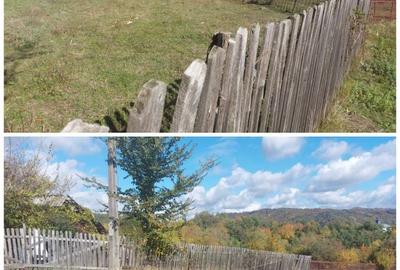 Teren de 3500 mp, în Berevoești - 1