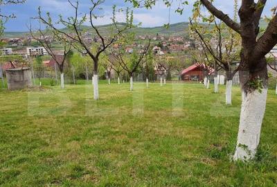 Casă cu 1 camere cu Teren 1824 Mp în Livezeni - 5