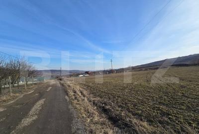 Teren extravilan de vanzare, 1.113 mp, zona-Valea Chintaului - 2
