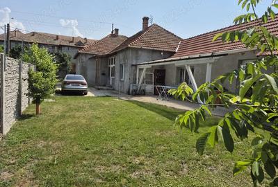 Casa de vanzare Gataia Jud. Timis - 7