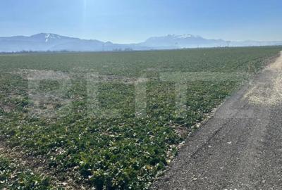 Teren în Central - 3