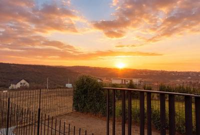 Casă cu 4 camere cu Teren 200 Mp în Săldăbagiu de Munte - 7