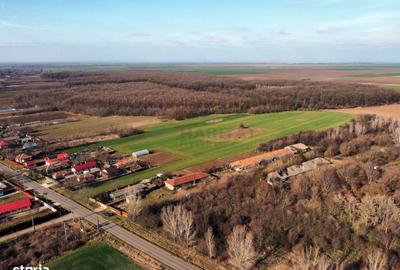 Spațiu comercial, în Nuci - 7