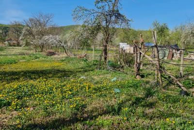 Casă cu 4 camere cu Teren 1869 Mp în Măgureni - 5