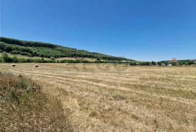 Teren de 626 mp, în Betfia - 5