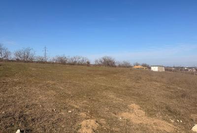 Teren de 1000 mp, în Exterior Vest - 4