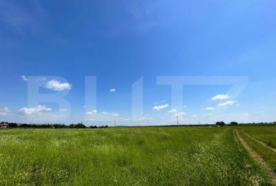 REDUCERE! Teren intravilan 4.444 mp, pretabil proiect imobil - 6