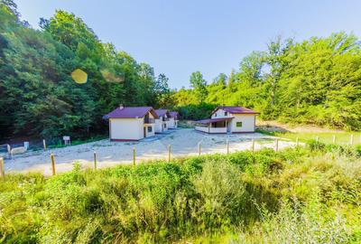 Afacere, Pensiune cu 9 camere de vanzare - 3