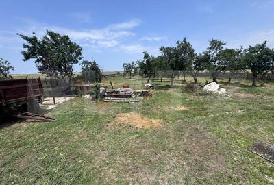 Oportunitate de achizitie – Casa traditionala, ideala pentru viata la tara! - 12