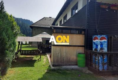 Pensiune in Muntii Apuseni 10 camere 1007 mp teren - 3