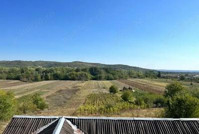 Casă cu 5 camere cu Teren 3650 Mp în Sutești - 2