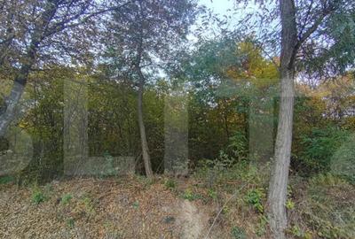 Teren de 1256 mp, în Ciurila - 2