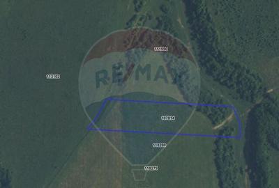 Teren 10,800mp Rasnov / Drumul DN73 - 7