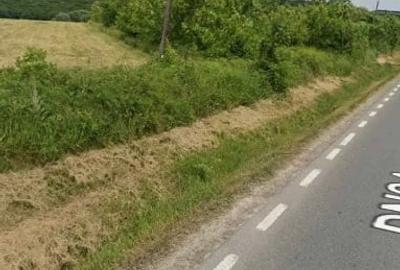 Teren Construcții intravilan de 15000 mp, în Poiana (Schitu Duca) - 2