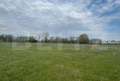 Teren de 695 mp, în Moșnița Nouă - 4