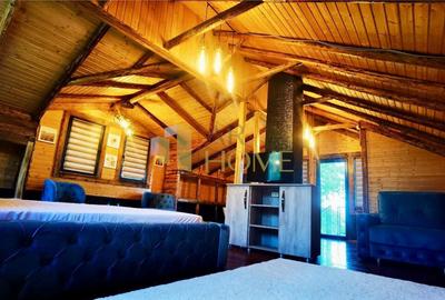 Casa vacanta, 9500 mp teren intravilan, in Valea Calugareas - 10