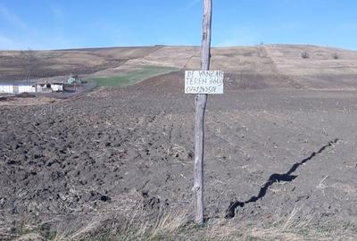Teren de 3650 mp, în Central - 5