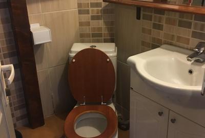 Garsoniera dubla spre inchiriere - str. Occidentului - 5