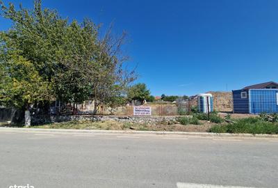 Spațiu comercial, în Corbu - 7