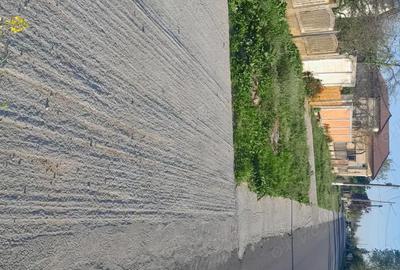 Casă cu 3 camere în Băbiciu - 4