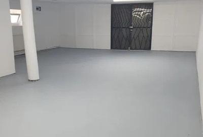 Hala industriala, 90mp zona Gusterita - 4