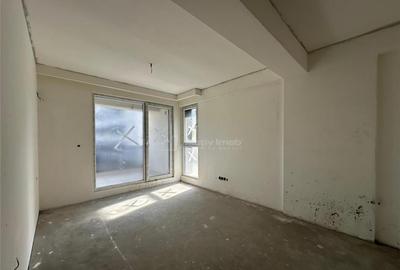 3 camere Theodor Pallady - 1