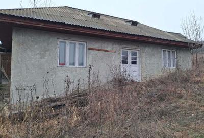 Teren de 12000 mp, în Vladnic - 9