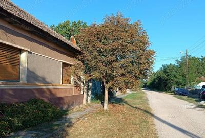 Casa de vanzare Boiu Bihor - 3