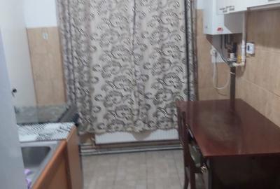 Apartament cu 2 camere decomandat în Paltin - 4