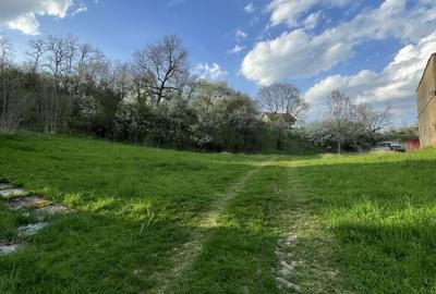 Teren de 5370 mp, în Roșia - 4