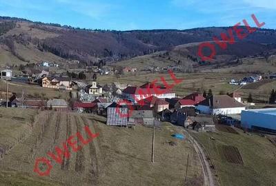 Teren de 5000 mp, în Barcani - 2