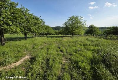 Teren de 3600 mp, în Drăgușani - 3