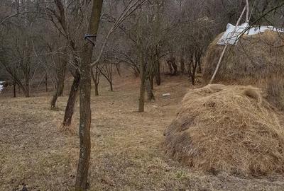 Teren de 1700 mp, în Olănești - 4