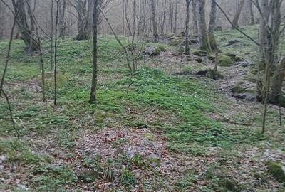 Teren de 1650 mp, în Central