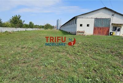 Spațiu Industrial în Alba Iulia de închiriat - 2