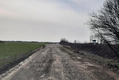 Teren Corbeanca- Ostratu- langa padure - zona cu aer curat si liniste Teren Corbeanca- Ostratu- langa padure - zona cu aer curat si liniste - 5